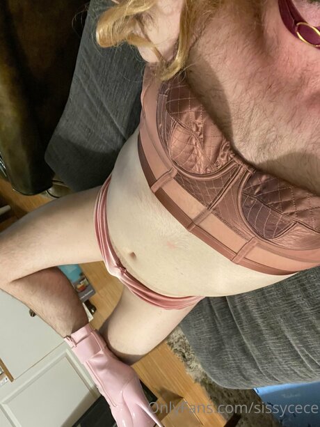 Sissycece bonita estrella porno foto