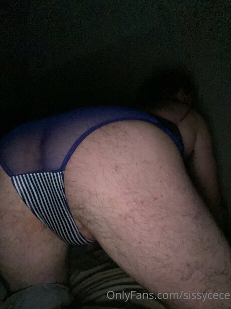 Sissycece haut étoile galeries