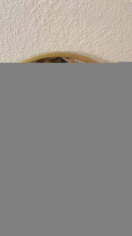 Lizlavenderx modèle de haute qualité img