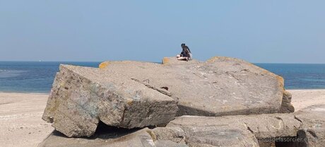 Poilsdesorcier Efree sexe de star du porno galerie