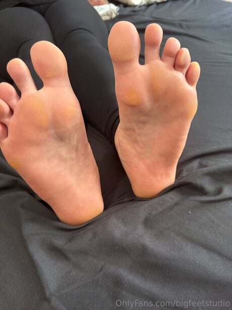 Bigfeetstudio nus étoiles galeries