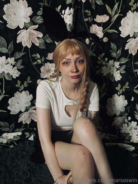 Marsoswin étoile gratuite galerie