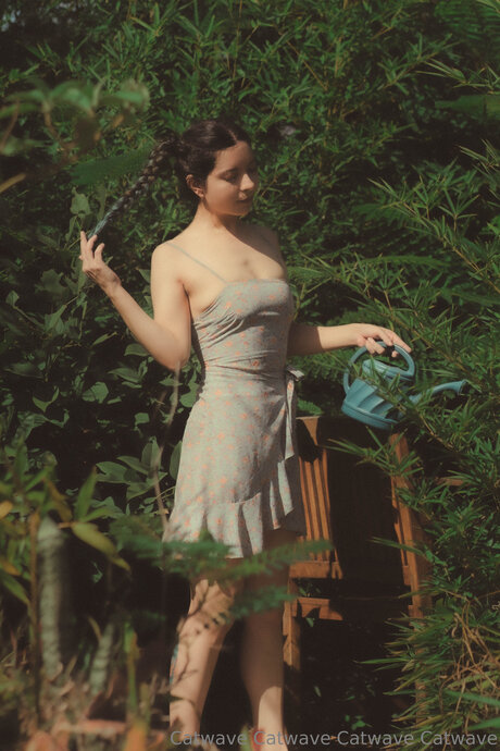 Catwave modelo superior foto