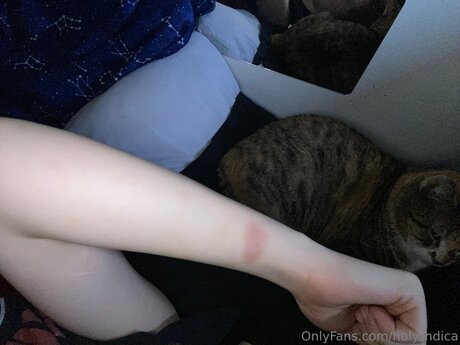 Holy Indica hermosa actriz archivo