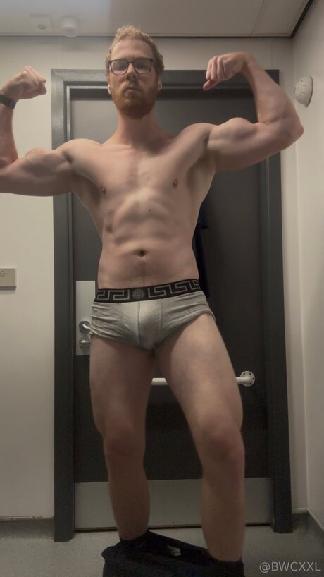 Bwcxxl hd model archive