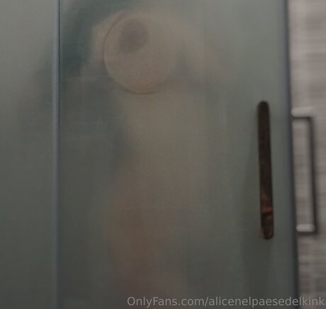 Alicenelpaesedelkink modelo perfecto imágenes