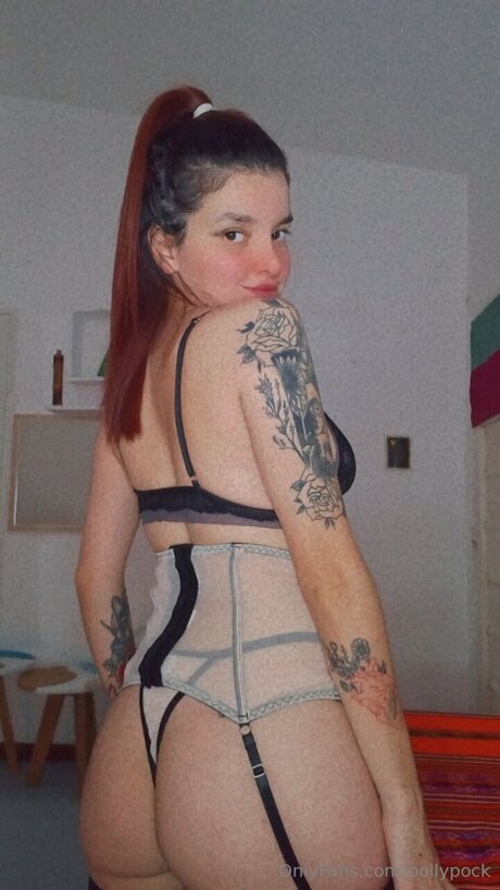 Pollypock étoile de haute qualité image