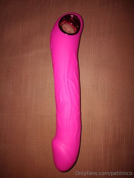 Petitnico beautiful pornstar image