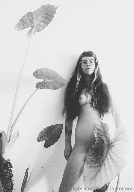 Siestitaymimos erotic star img