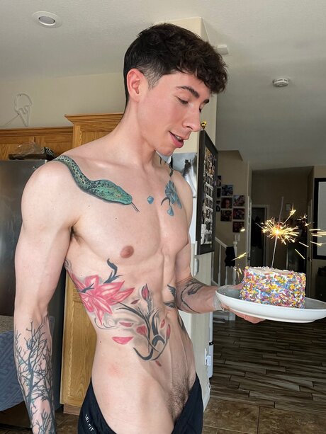 Vincentoreillvppv hot pornstar image