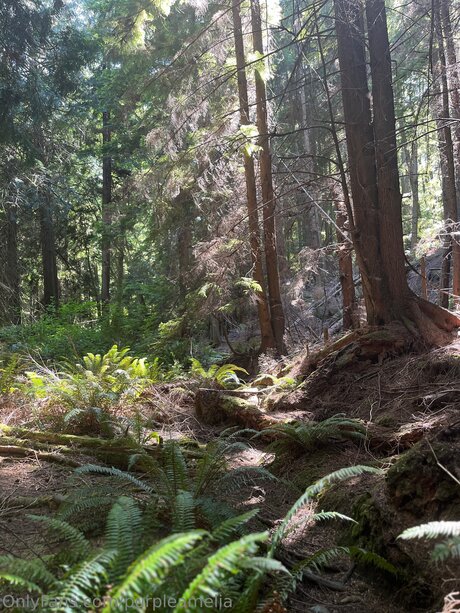 Offgridamelia mejor estrella porno foto