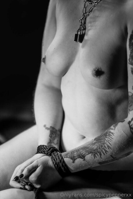 Spicypepperxx haut étoile galeries