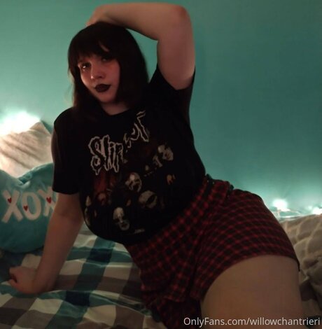 Willowchantrieri étoile nue image