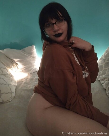 Willowchantrieri estrella porno adulto imágenes