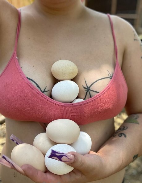 rollerdamefree étoile de haute qualité img