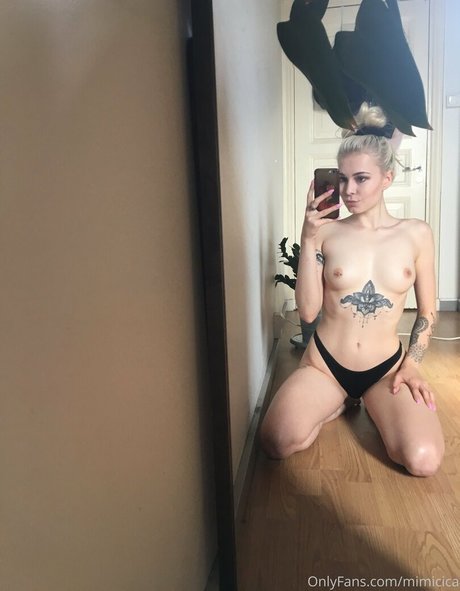 mimicica art modèle img