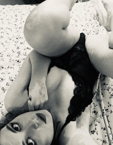 dankzestykale mejor estrella galerías