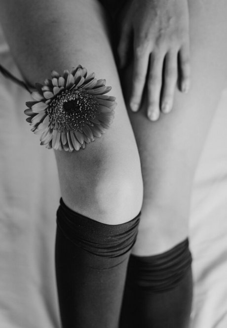 jinadaisy étoile xxx archive