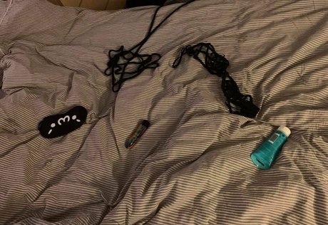 snakefoxbox star du porno gratuite galerie