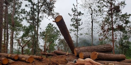 Athena Demos estrella porno exclusiva foto