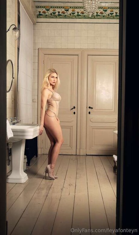 Feyafonteyn mannequin photo