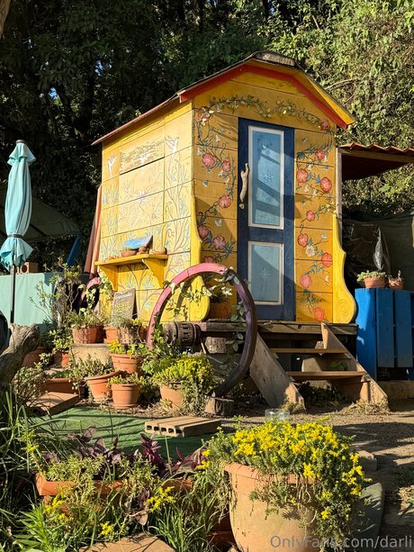 Darli estrella porno caliente galerías