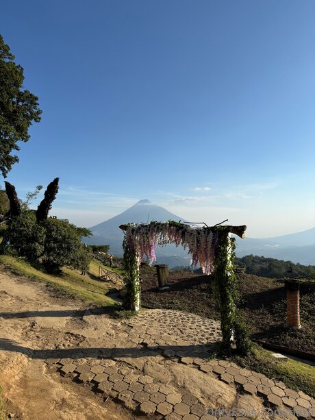 Darli modèle chaud images