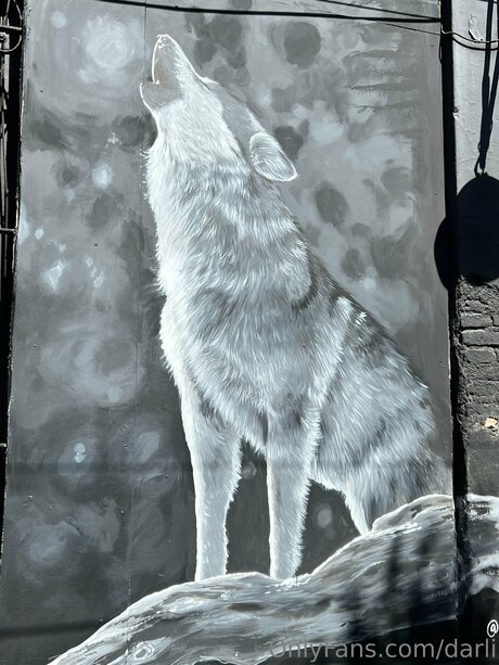 Darli beau modèle archive