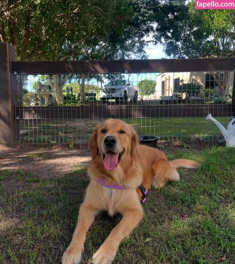 Pearl Farley Imagen de perfil