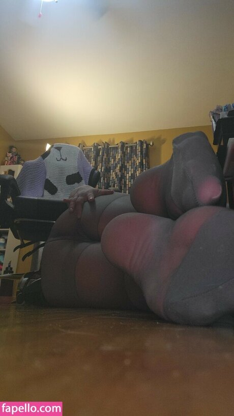 Nylonsandsocks arte estelar imagen