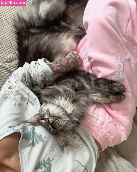 maghla_ étoile photos