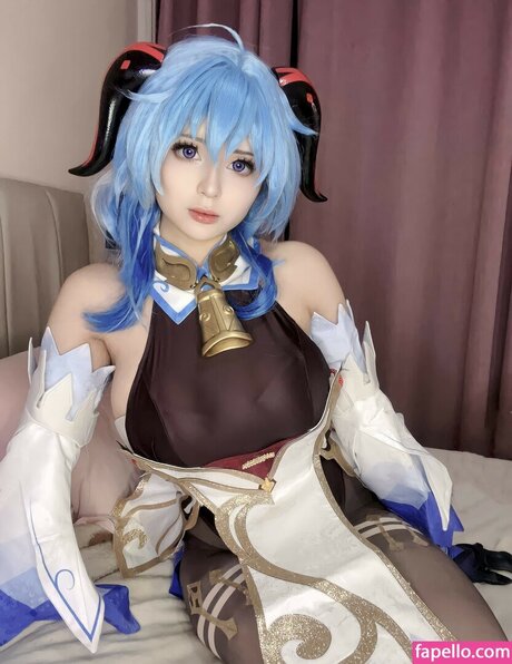 Catorisu modèle image