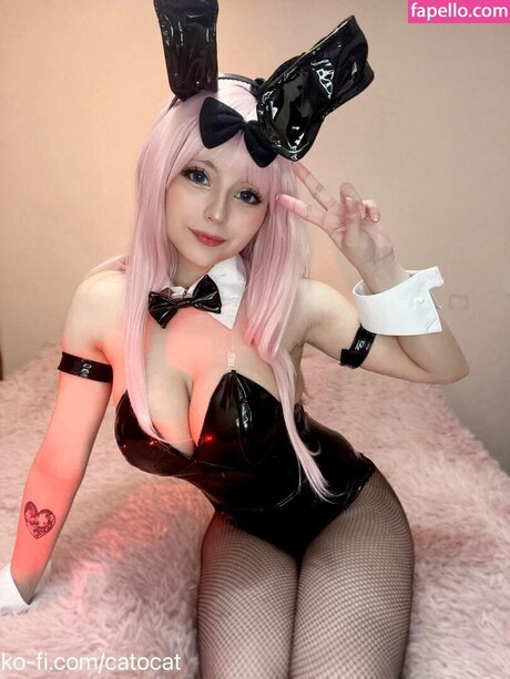 Catorisu estrella archivo