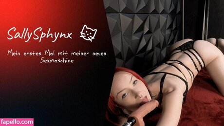 sally sphynx star pic