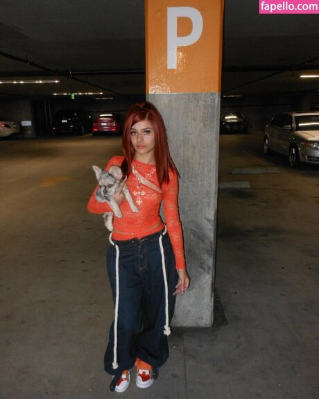 prymrr desnudos de estrellas imagen