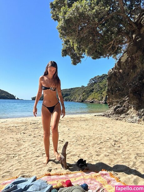 Req Cassadventures arte estelar foto