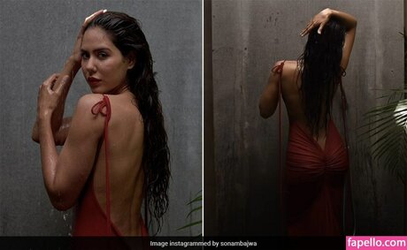 Sonam Bajwa pretty star img
