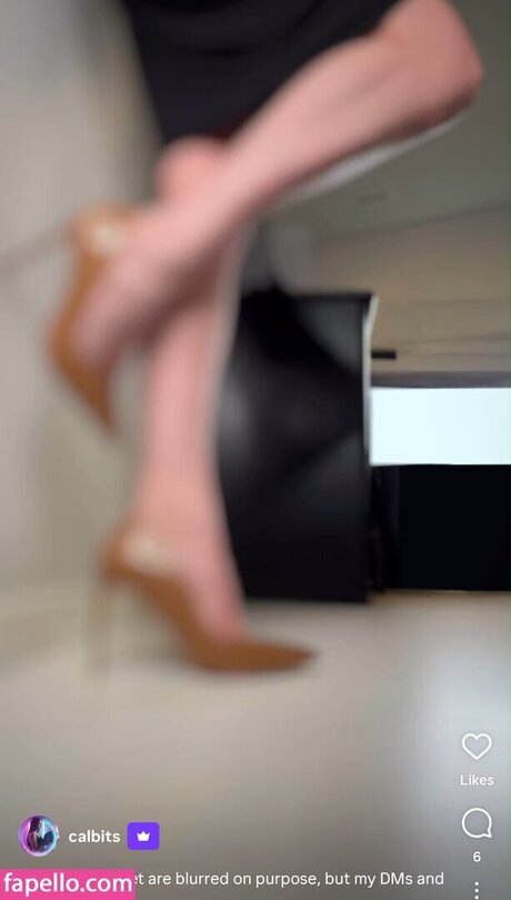 Calbits model art picture
