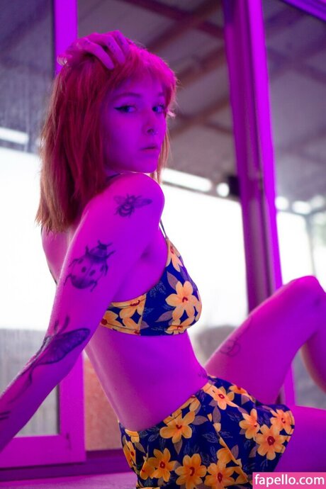 Imgiannasmith belle étoile galeries