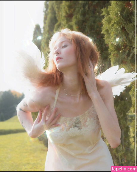 Imgiannasmith étoile de haute qualité photos