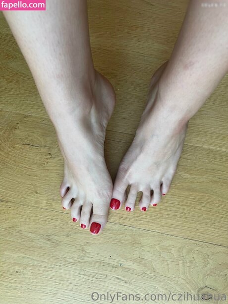 czihuahua estrella de alta definición imagen