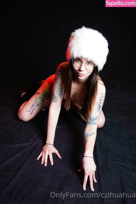 czihuahua étoile exclusive photos