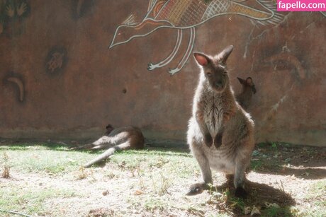 Ohkaylin modelo sexy fotos