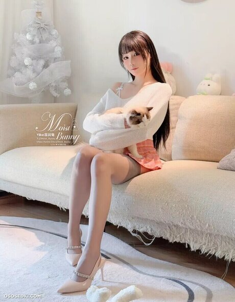 Yaokoututu étoile parfaite images