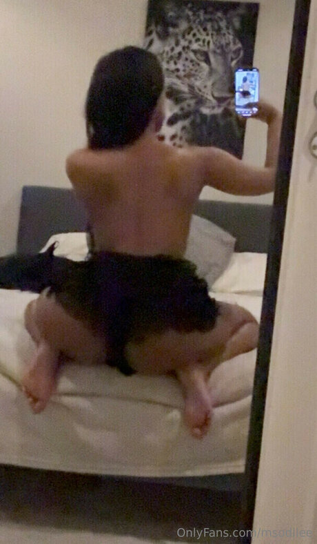 msodile_ star xxx pic