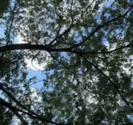 Linda patty94 modèle exclusif archive