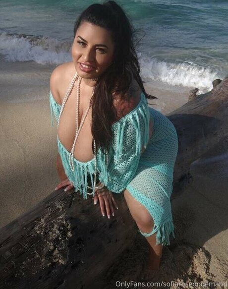 Sofia Rose sexe de star du porno image