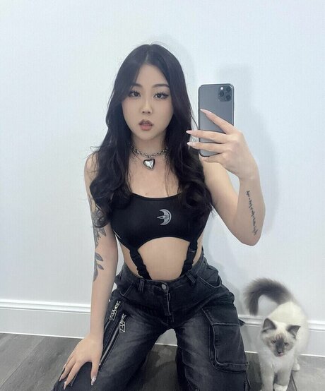 Hanavocado star du porno adulte images