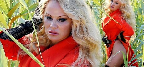 Pam Anderson pornstar sexy galleries