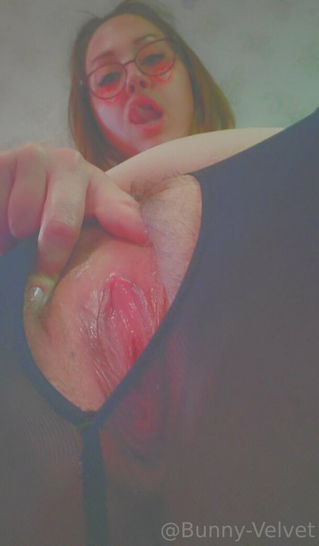 bunny velvet actrice érotique img